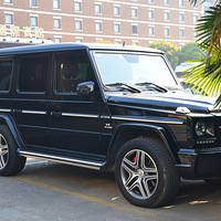 ��ʧ�˺þõ��� ���ڻع��� ���ڼ��˽���