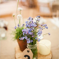 ƽ��÷ɭƿ��Բ��һ����������