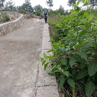 ���˵�¿���μǣ�ÿ�ܸ��£�