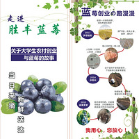 ��ݮ����ʱ�����ź�������Ѳ�ժ������~