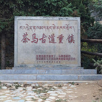 ���ϲ����ŵ�����