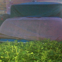 ����ͷ���ϡ����²� ���ʻ��ΪʲôҲҪ������