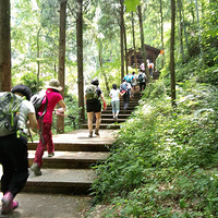 ���˵�¿���μǣ���ӥ��ֻ�����գ�ÿ�ܸ��£�