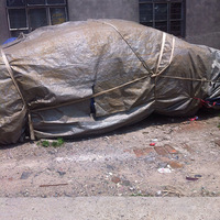 ����ͷ���ϡ������������ˣ������߿�����������