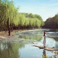 ������д���¯��������