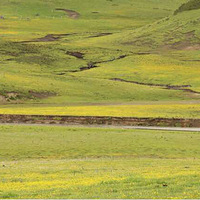 ȥ������200�������;�ķ羰������Ĳ�