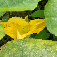 ÷���޾������ϹϿ������