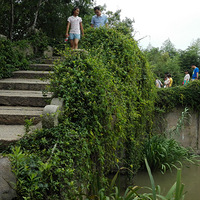 ÷���޾���������������