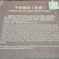 ʯ�������ǧ������