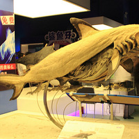 ������ʯ̲---�������ز���ݣ���һ���Ķ���԰���ȣ������꣩