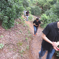 ����������̩���Լݲ���÷��AX7������ս��Բ������