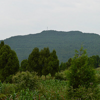 ����ʱ�����ռǣ������֤����˳��ȥ���֤�ɣ�