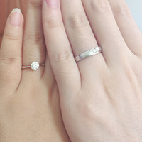 �갮һ����������