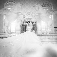 Ī���Ҿ�ϲ���㣬�����ǶԿӵ�����