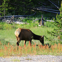 ������ʯ��԰��Ӱ