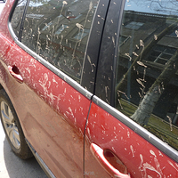 ����ͷ���ϡ��ڸ���· ͣ���ɵ�С��