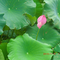 ����������