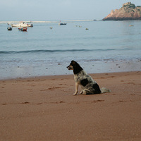 ��轵��μ�