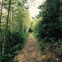 ¿�����£��׼�ʪ��֮��