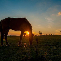  ¿�����£�����һ����Լ��������