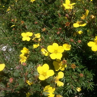 ���ຣ-������Ϣ��������ɽ��Ұ�ĸ���С�� 