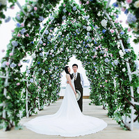 ��Ϧ��ǰ�����Լ��Ļ�ɴ��