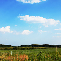 ���ϲ�ԭԽҰ����