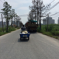 ����ͷ���ϡ���·���ö�