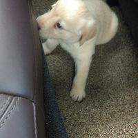 С��Ѱ�������ˣ��۸��������̸��Ҳ�ɷ��ڸ���