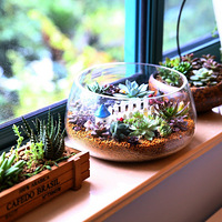 ���к�С�ѣ����촵��˿˿����