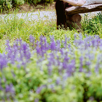 �ڴ��ѾõĻ�����лл�����簲����ʦ��һ���·�����2�ַ��