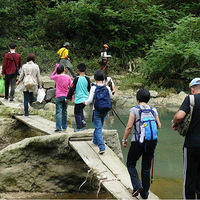 ���Ǳ�����Ҫȥ�㽭�����²���ͽ����ǿ����