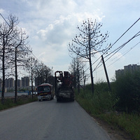 ����ͷ���ϡ�����ʲô��˭��ʶ�⳵�ǿ�����