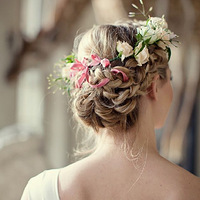 ���﷢�Ͳο�~