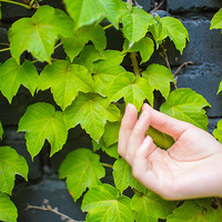 ���2���꣡��ɹɹ��ʱ�ĵĻ�ɴ��~