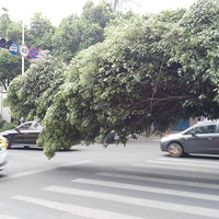 ����ͷ���ϡ��������������  "������β"���˺���