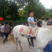 ����ȥ�Ķ�+�Ϻ�Ұ������԰