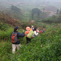 ����·�ϣ����챩��32���09��12~13��ͨ�ŵ�-����ŵ�-����