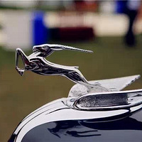 ��Žг��꣡��֤��û������