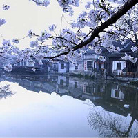 ���������Ļ�  �Ǹ���һ���ң����·�����