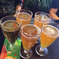 ��������������ʳ��������ϣ��������̣�