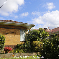 ��Щ��ǰ�ݺ�