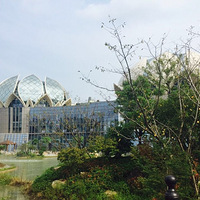 ���߰��ײ⡿���������壬���󣬵�������Ȫ�����ػ������񵭡�