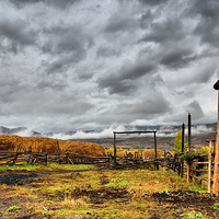 �����½�