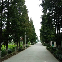 �ﳵ;�е���Ȥ������¶Ӫ��¶��ľ�Ө����