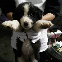 �߾�46���ˣ�һֱ���ڳ��⣬˭Ҫ