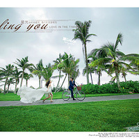 ���ϰ�.�̲�סɹ��ʮһ���������ĵĻ�ɴ�ա���������ϸ����