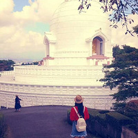 �ձ������Σ��ģ�