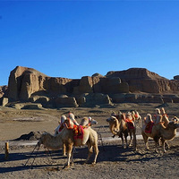 ȥ��ңԶ�ĵط�-֮�������ߣ��£�