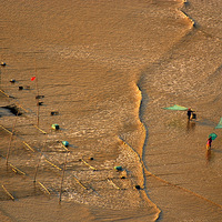 ����ʮ��ϼ����